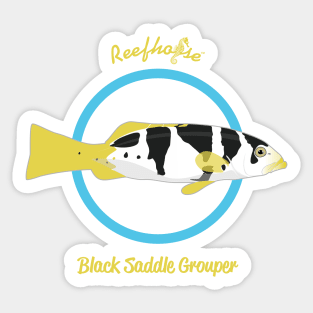 Black Saddle Grouper Sticker